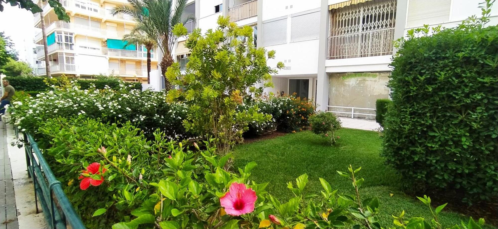 Apartmán Ola Marina Solo Familias Playa de Gandia Exteriér fotografie